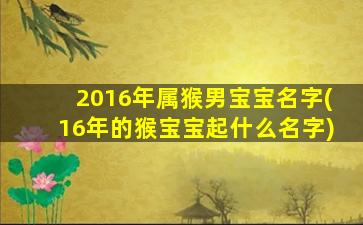 2016年属猴男宝宝名字(16年的猴宝宝起什么名字)