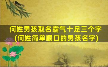 何姓男孩取名霸气十足三个字(何姓简单顺口的男孩名字)