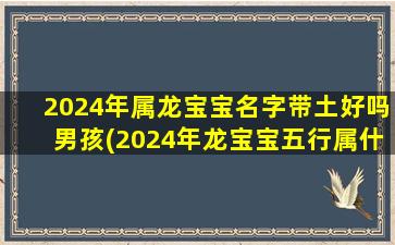 2024年属龙宝宝名字带土好吗男孩(2024年龙宝宝五行属什么)