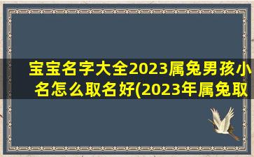 宝宝名字大全2023属兔男孩小名怎么取名好(2023年属兔取名宜用字)