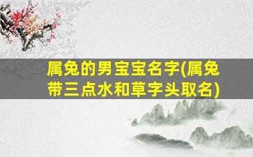 属兔的男宝宝名字(属兔带三点水和草字头取名)