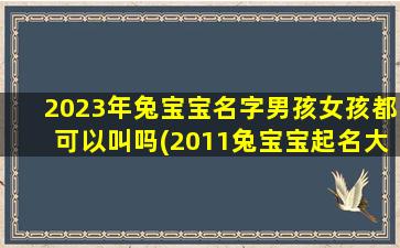 2023年兔宝宝名字男孩女孩都可以叫吗(2011兔宝宝起名大全)