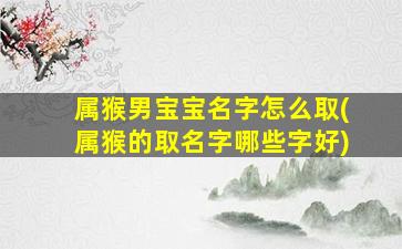 属猴男宝宝名字怎么取(属猴的取名字哪些字好)