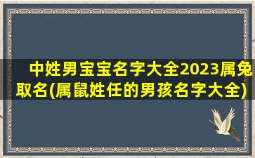 中姓男宝宝名字大全2023属兔取名(属鼠姓任的男孩名字大全)