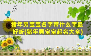 猪年男宝宝名字带什么字最好听(猪年男宝宝起名大全)