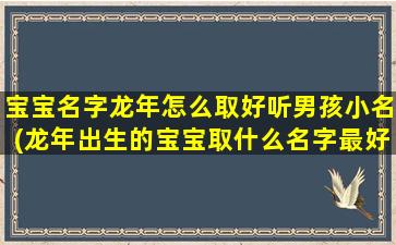 宝宝名字龙年怎么取好听男孩小名(龙年出生的宝宝取什么名字最好)