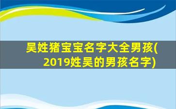 吴姓猪宝宝名字大全男孩(2019姓吴的男孩名字)