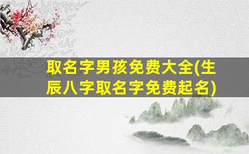 取名字男孩免费大全(生辰八字取名字免费起名)