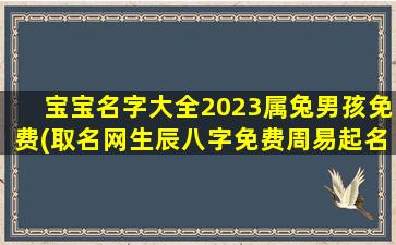 宝宝名字大全2023属兔男孩免费(取名网生辰八字免费周易起名)
