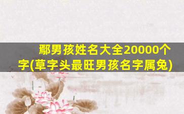 鄢男孩姓名大全20000个字(草字头最旺男孩名字属兔)