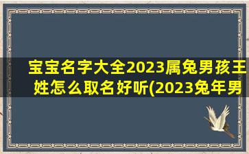 宝宝名字大全2023属兔男孩王姓怎么取名好听(2023兔年男孩取什么名字好)