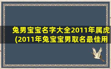 兔男宝宝名字大全2011年属虎(2011年兔宝宝男取名最佳用字)