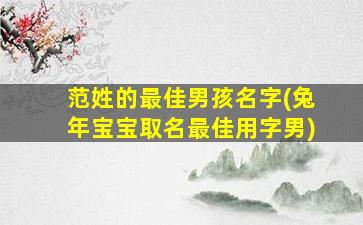 范姓的最佳男孩名字(兔年宝宝取名最佳用字男)