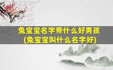 兔宝宝名字带什么好男孩(兔宝宝叫什么名字好)
