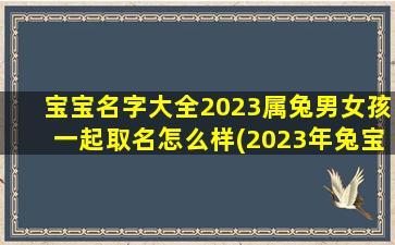 宝宝名字大全2023属兔男女孩一起取名怎么样(2023年兔宝宝起名字)