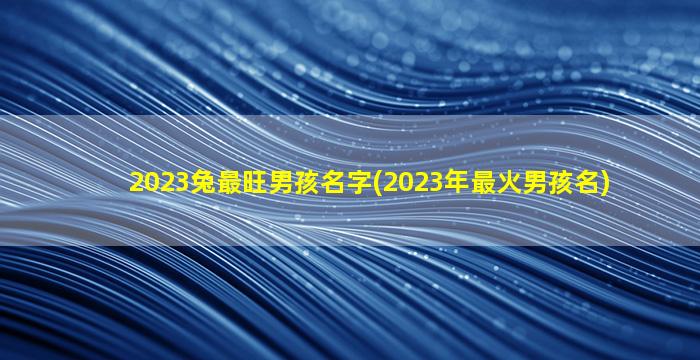 2023兔最旺男孩名字(2023年最火男孩名)
