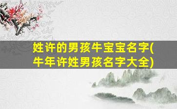 姓许的男孩牛宝宝名字(牛年许姓男孩名字大全)