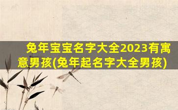 兔年宝宝名字大全2023有寓意男孩(兔年起名字大全男孩)