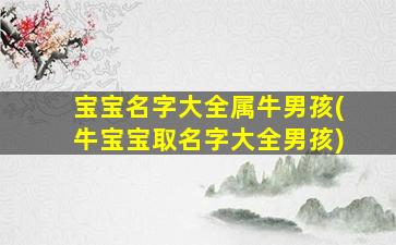 宝宝名字大全属牛男孩(牛宝宝取名字大全男孩)