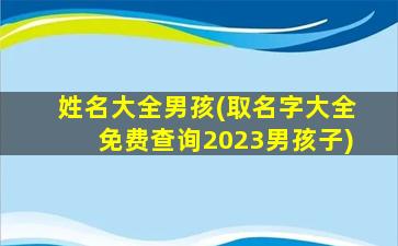 姓名大全男孩(取名字大全免费查询2023男孩子)