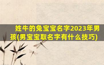 姓牛的兔宝宝名字2023年男孩(男宝宝取名字有什么技巧)