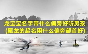 龙宝宝名字带什么偏旁好听男孩(属龙的起名用什么偏旁部首好)