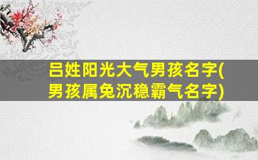 吕姓阳光大气男孩名字(男孩属兔沉稳霸气名字)
