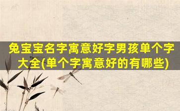 兔宝宝名字寓意好字男孩单个字大全(单个字寓意好的有哪些)