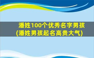 潘姓100个优秀名字男孩(潘姓男孩起名高贵大气)