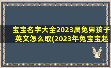 宝宝名字大全2023属兔男孩子英文怎么取(2023年兔宝宝起名字)