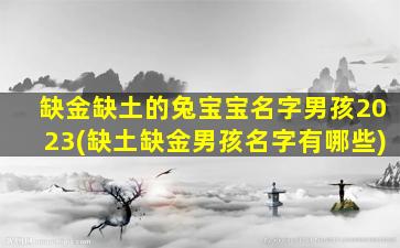 缺金缺土的兔宝宝名字男孩2023(缺土缺金男孩名字有哪些)