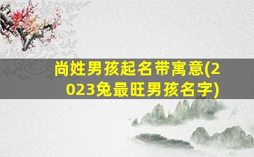尚姓男孩起名带寓意(2023兔最旺男孩名字)