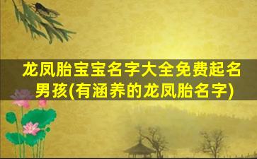 龙凤胎宝宝名字大全免费起名男孩(有涵养的龙凤胎名字)
