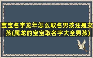 宝宝名字龙年怎么取名男孩还是女孩(属龙的宝宝取名字大全男孩)