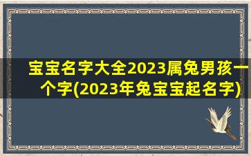 宝宝名字大全2023属兔男孩一个字(2023年兔宝宝起名字)