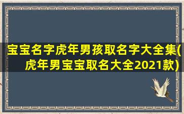 宝宝名字虎年男孩取名字大全集(虎年男宝宝取名大全2021款)