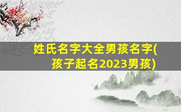 姓氏名字大全男孩名字(孩子起名2023男孩)