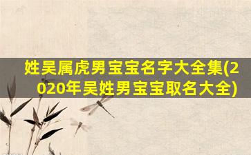 姓吴属虎男宝宝名字大全集(2020年吴姓男宝宝取名大全)