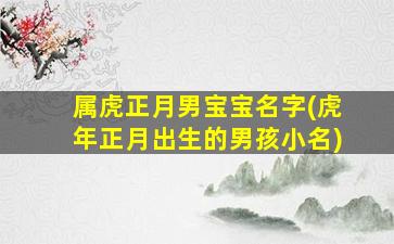 属虎正月男宝宝名字(虎年正月出生的男孩小名)