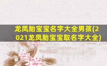 龙凤胎宝宝名字大全男孩(2021龙凤胎宝宝取名字大全)