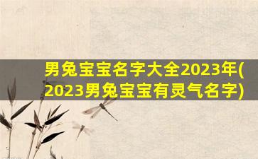 男兔宝宝名字大全2023年(2023男兔宝宝有灵气名字)