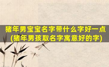 猪年男宝宝名字带什么字好一点(猪年男孩取名字寓意好的字)