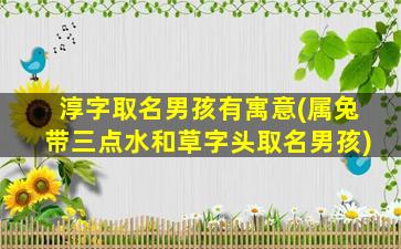 淳字取名男孩有寓意(属兔带三点水和草字头取名男孩)
