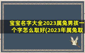 宝宝名字大全2023属兔男孩一个字怎么取好(2023年属兔取名宜用字)