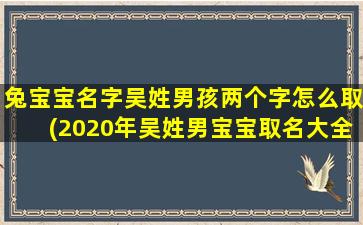 兔宝宝名字吴姓男孩两个字怎么取(2020年吴姓男宝宝取名大全)