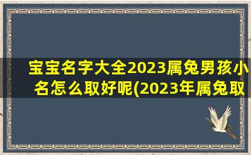 宝宝名字大全2023属兔男孩小名怎么取好呢(2023年属兔取名宜用字)