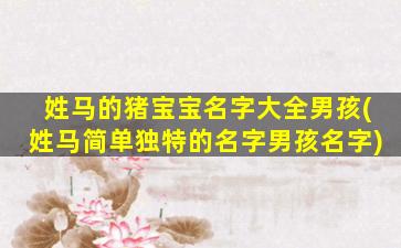 姓马的猪宝宝名字大全男孩(姓马简单独特的名字男孩名字)
