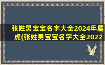 张姓男宝宝名字大全2024年属虎(张姓男宝宝名字大全2022属虎)