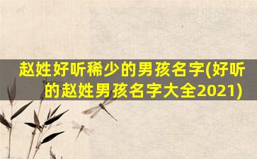 赵姓好听稀少的男孩名字(好听的赵姓男孩名字大全2021)