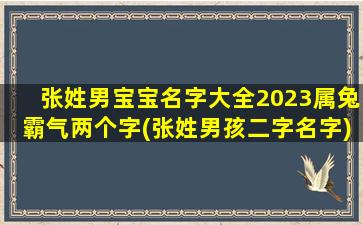 张姓男宝宝名字大全2023属兔霸气两个字(张姓男孩二字名字)